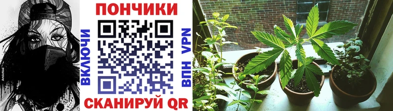 Наркошоп Яблоновский ГАШИШ A PVP МДМА МЕФ