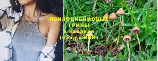 марки lsd Алзамай