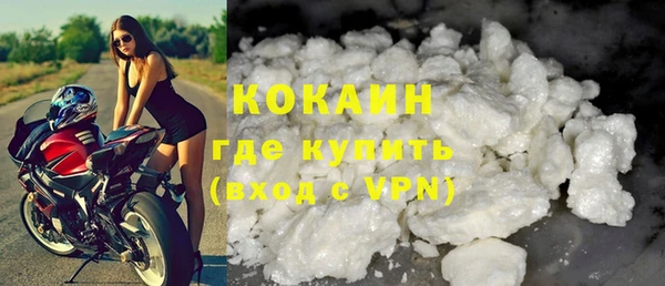 прущие грибы Абинск