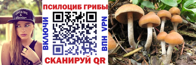 Псилоцибиновые грибы Magic Shrooms  Яблоновский 